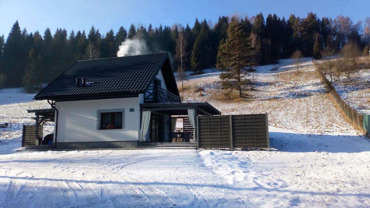 Lesny Zaulek Vila Muszyna Exterior foto