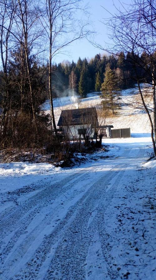 Lesny Zaulek Vila Muszyna Exterior foto