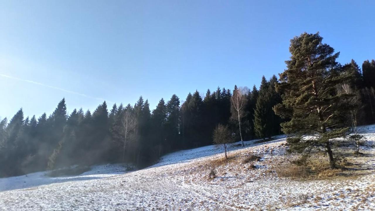 Lesny Zaulek Vila Muszyna Exterior foto