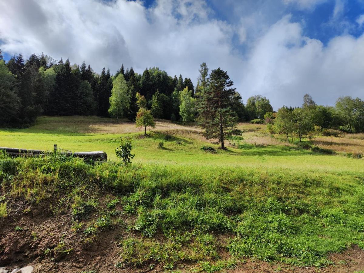 Lesny Zaulek Vila Muszyna Exterior foto